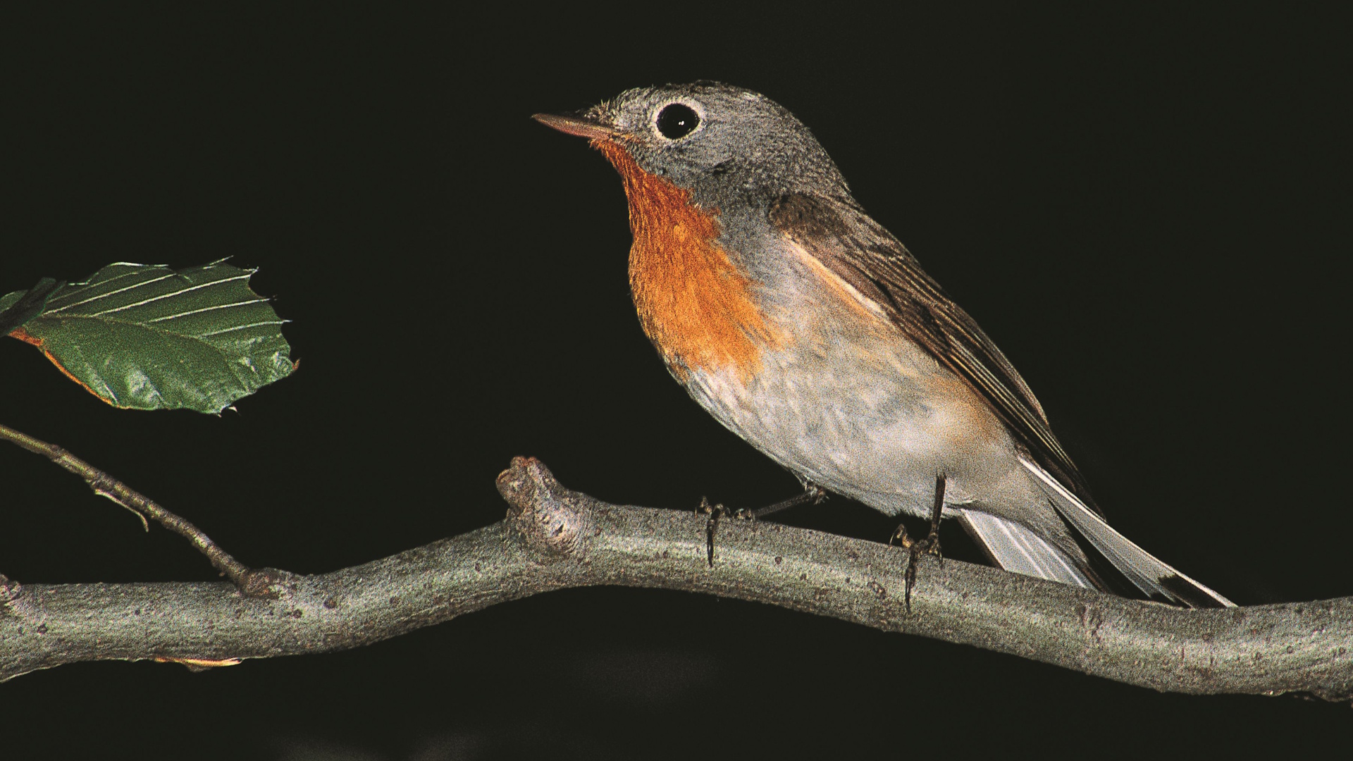 3. kép_251124142734.jpg